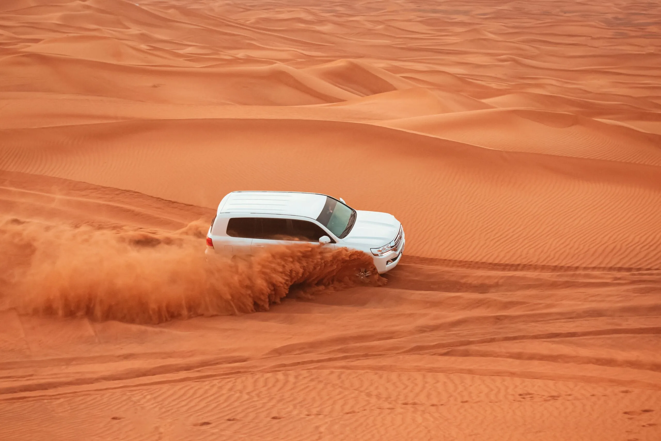 Desert Safari Gallery