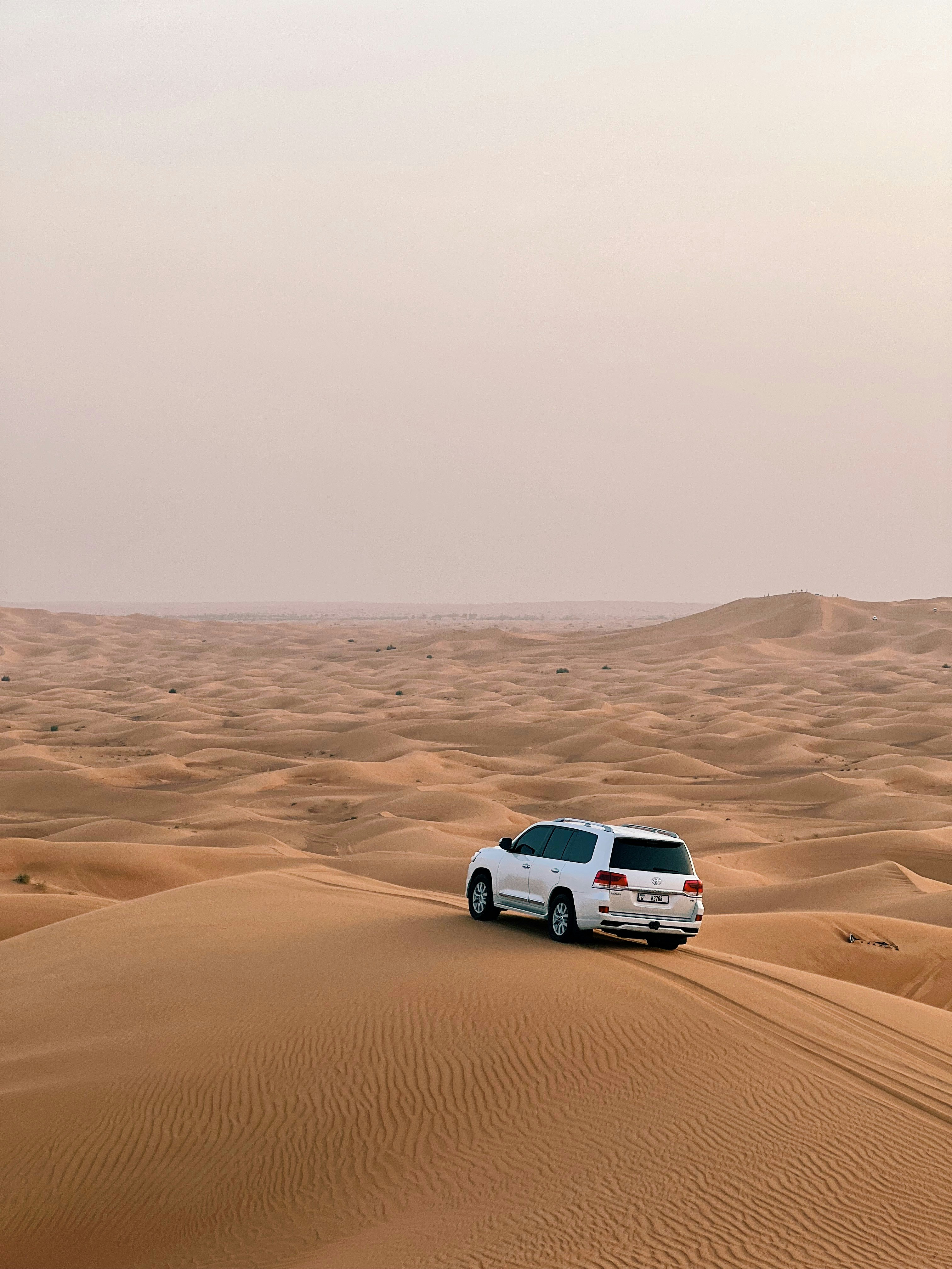 Morning Desert Safari